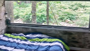 Un llit amb llençols ratllats a una habitació amb finestra que dona a un bosc.