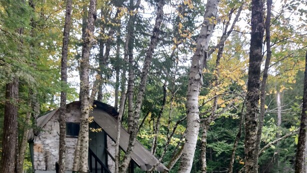 Una cabana rústica amb un terrat de fusta, envoltada d'arbres. Hi ha dues cadires plegables i una taula petita a prop de la cabana.