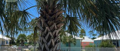 Bungalow, 3 Bedrooms, Accessible, Smoking | Pool | Outdoor pool