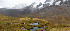Basic Tent | Living area