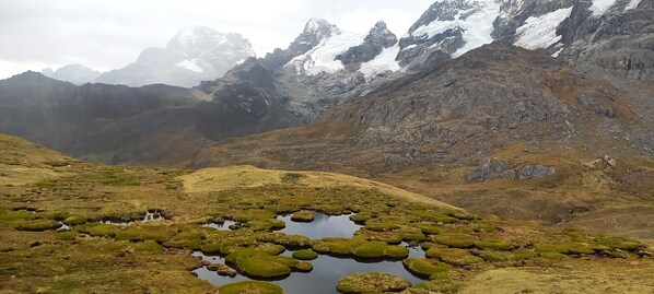 Barraca básica | Área de estar