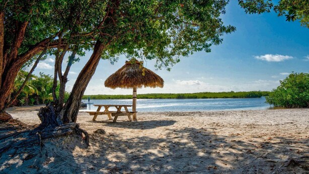 A beach with a thatched umbrella and a picnic table under a tree. - The Lazy Turtle Inn + Beach & Pool (Key Largo)