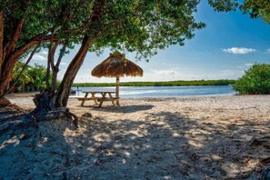 Ein Strand mit einem strohgedeckten Sonnenschirm und einem Picknicktisch unter einem Baum.