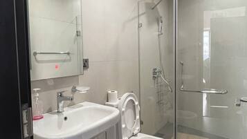 Shower, hair dryer, bidet, towels