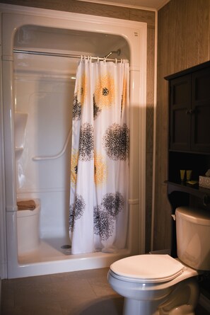 A bathroom with a shower, toilet, and a cabinet. - Jackfish Lake Cottages Motel (Unorganized Thunder Bay District)