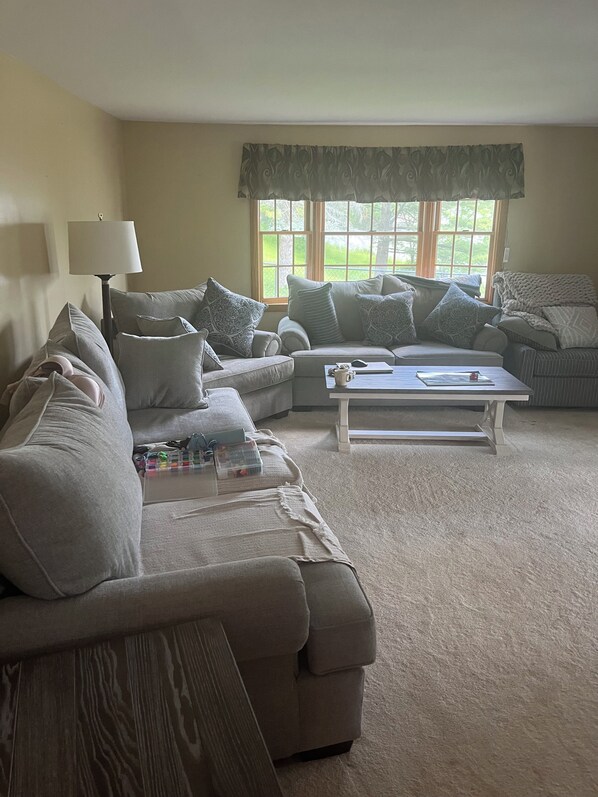 Smart TV, computer monitors, printers