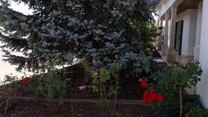 Un portico riparato con un grande conifero e rose in fiore.