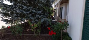 Exterior - Casa com ALma (Ourem)