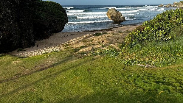A coastal landscape with a grassy foreground, a rocky cliff, and the ocean in the background. - Beachfront cottage with air conditioning and stunning views of Bathsheba  (Bathsheba)