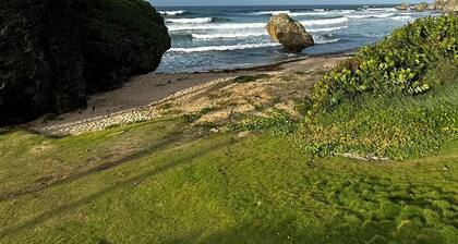 Beachfront cottage with air conditioning and stunning views of Bathsheba