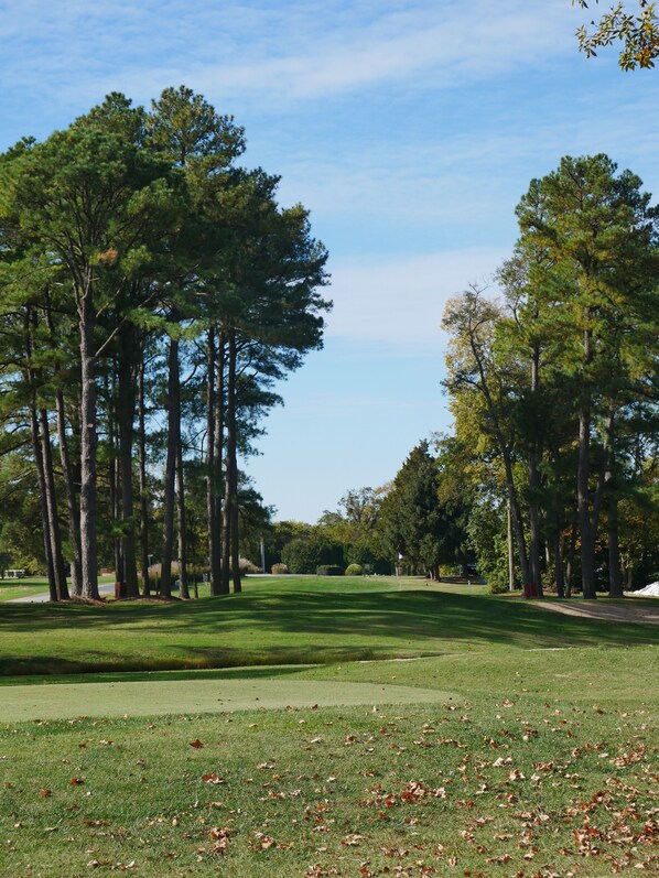 Un campo de golf con árboles altos y un cielo despejado.
