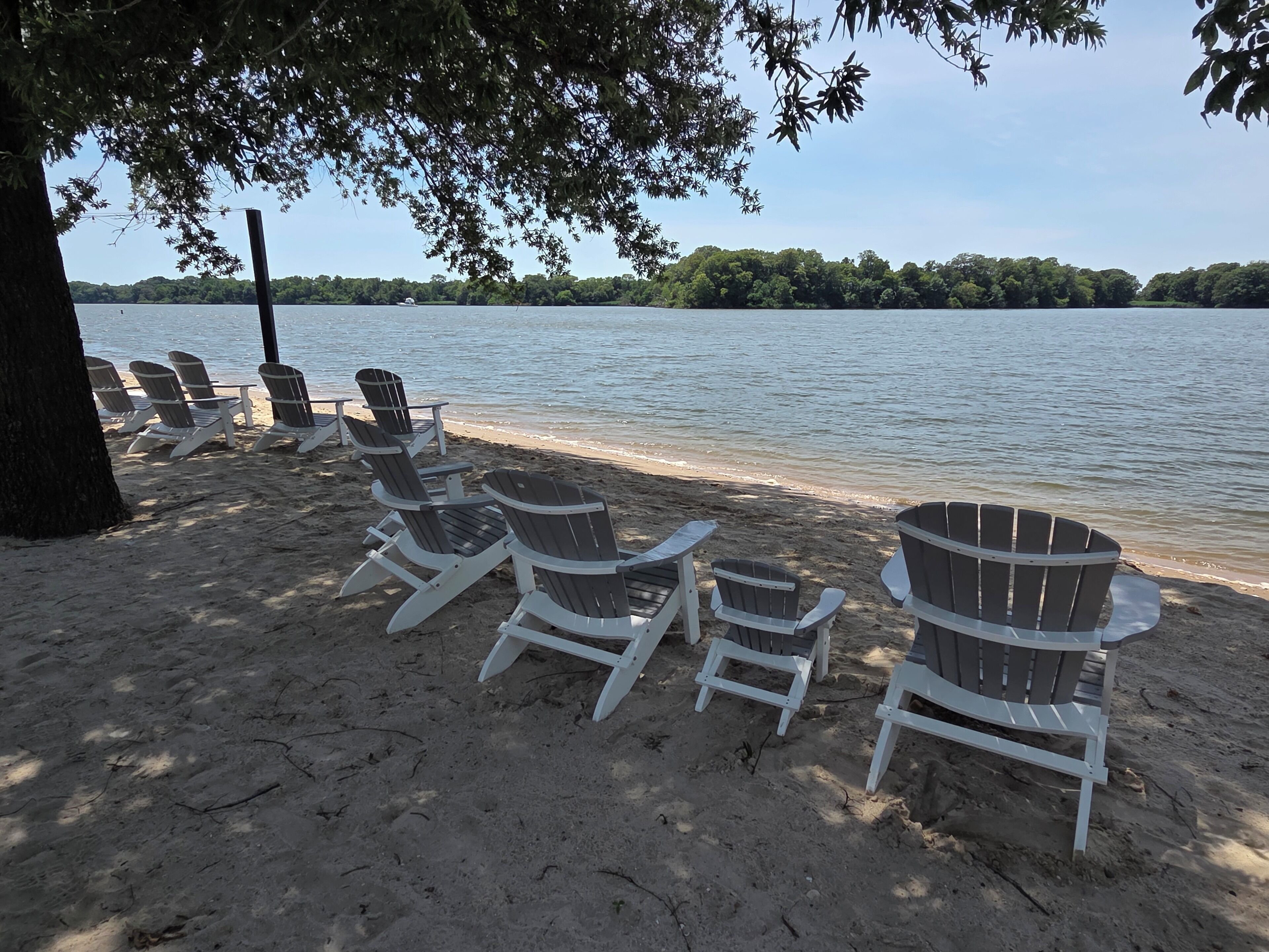Una hilera de sillas Adirondack sobre una playa arenosa, con un lago y un bosque al fondo.