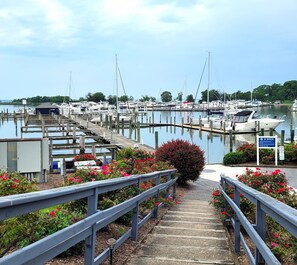 Property grounds - The Lodge at Great Oak Landing (Chestertown)
