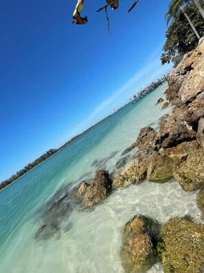 Beach - Newly Renovated 1 bedroom Condo  (Siesta Key)