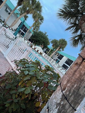 Property grounds - Newly Renovated 1 bedroom Condo  (Siesta Key)