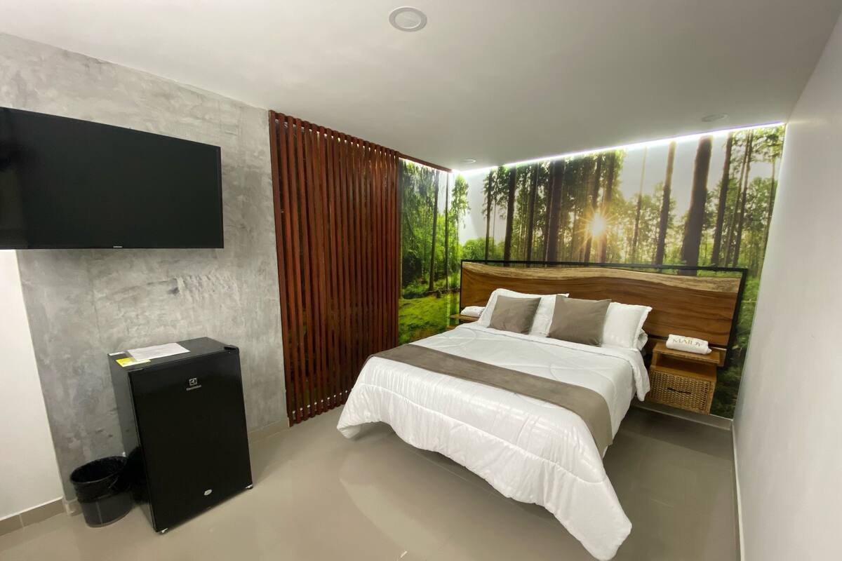 Chambre luxueuse double, 1 lit double, salle de bain attenante, rez-de-chaussée | Literie de qualité, espace de travail pour ordinateurs portables