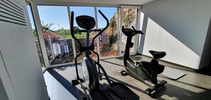 Un gimnasio en casa con dos bicicletas estáticas y una cinta de correr, ventanas amplias con vistas a un jardín y un paisaje rocoso.