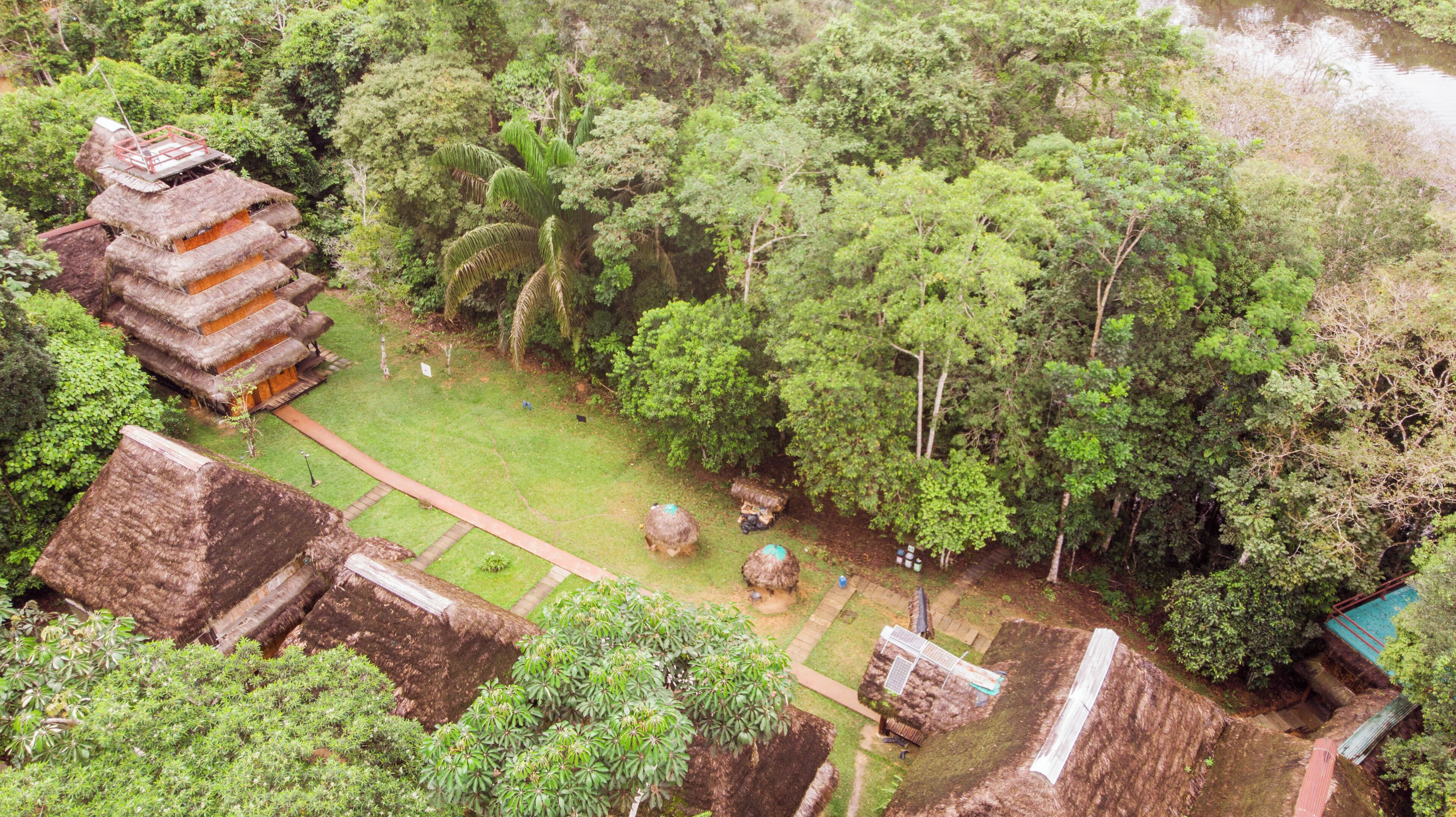 A traditional thatched-roof structure surrounded by lush greenery and a clear path.