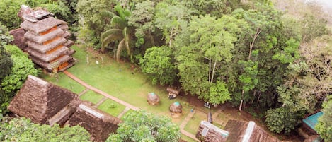 A traditional thatched-roof structure surrounded by lush greenery and a clear path.
