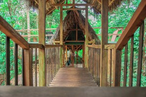 A wooden walkway with a thatched roof structure surrounded by dense greenery.