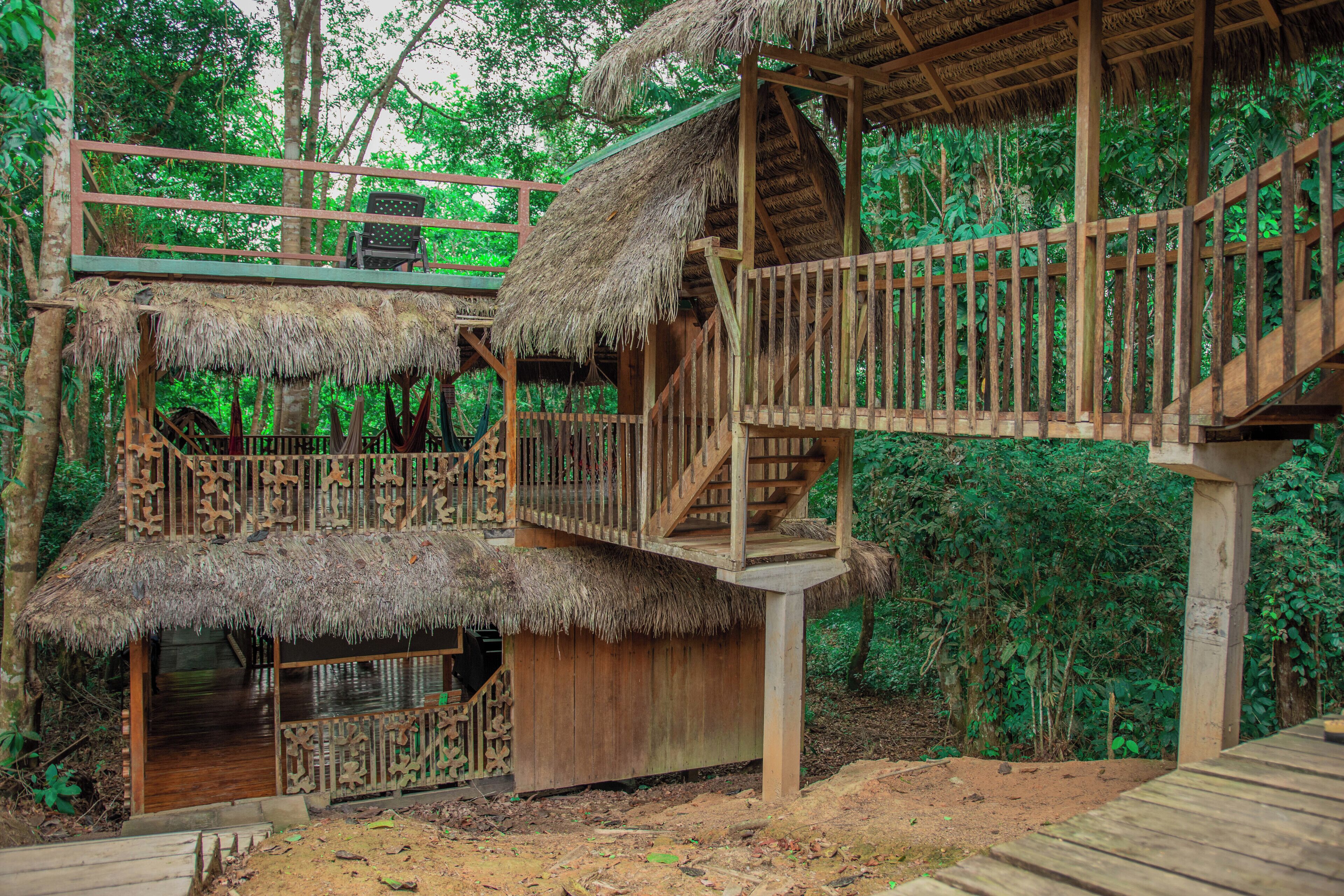 A multi-level wooden structure with thatched roofs, surrounded by dense greenery.
