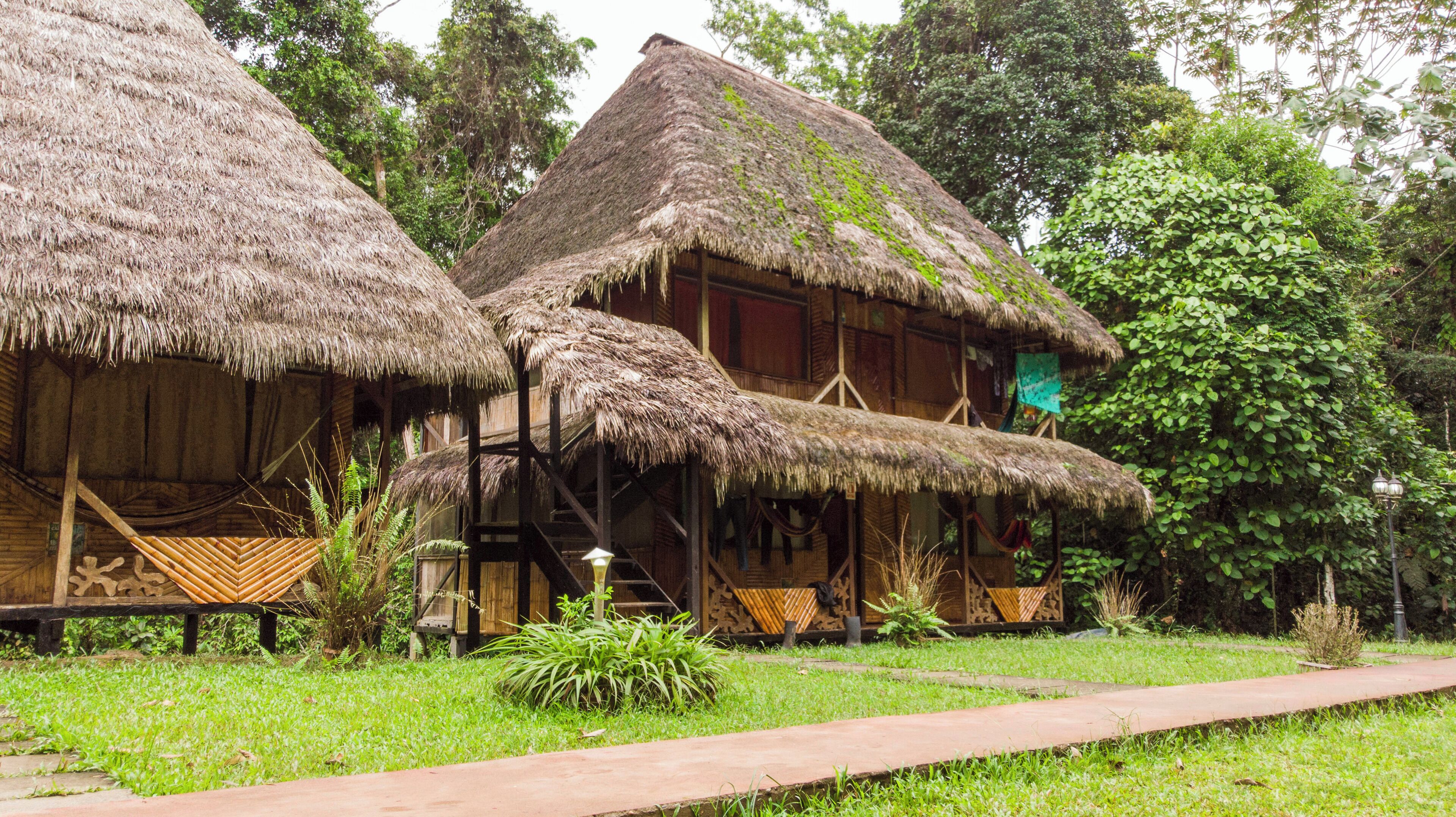 Thatched-roof huts with wooden walls and a thatched roof, surrounded by lush greenery.