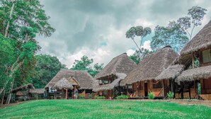 Cabañas de techo de paja con paredes de madera, rodeadas de vegetación y árboles.