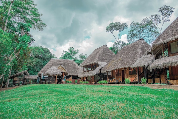 Cabañas de techo de paja con paredes de madera, rodeadas de vegetación y árboles.