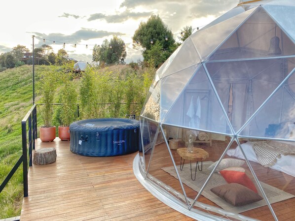A geodesic dome structure with a transparent ceiling, a wooden deck, and potted plants.