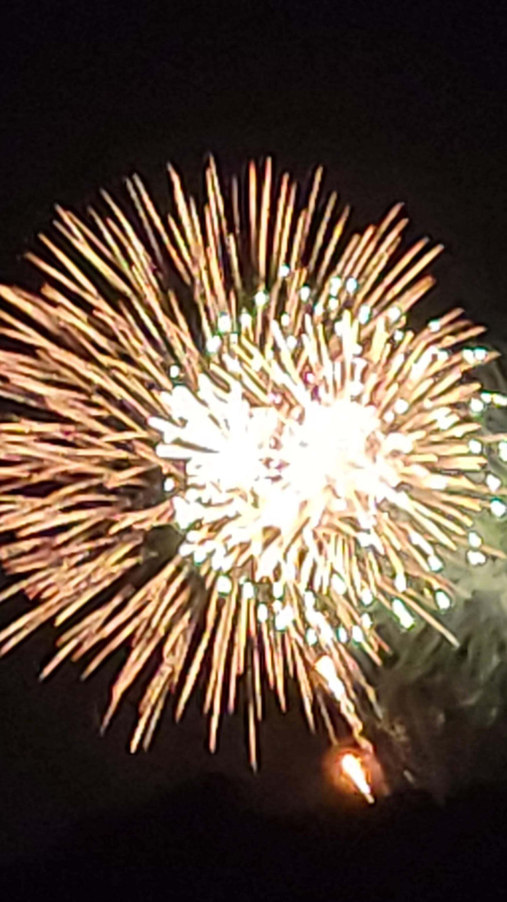 Un feu d’artifice illuminant le ciel de couleurs vives et de gerbes étincelantes.