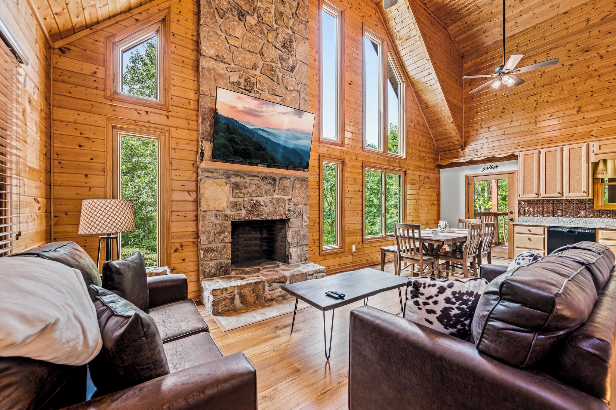 Smart TV, fireplace, video games, DVD player