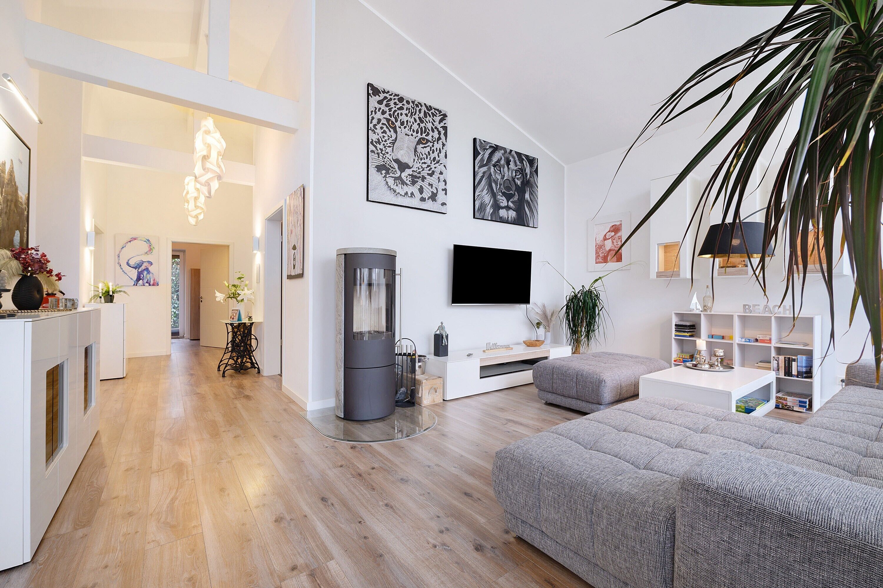 Televisión, chimenea