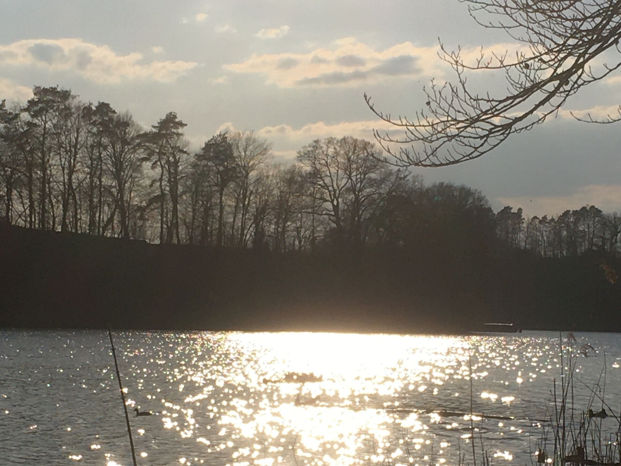 A body of water reflecting sunlight with trees in the background.