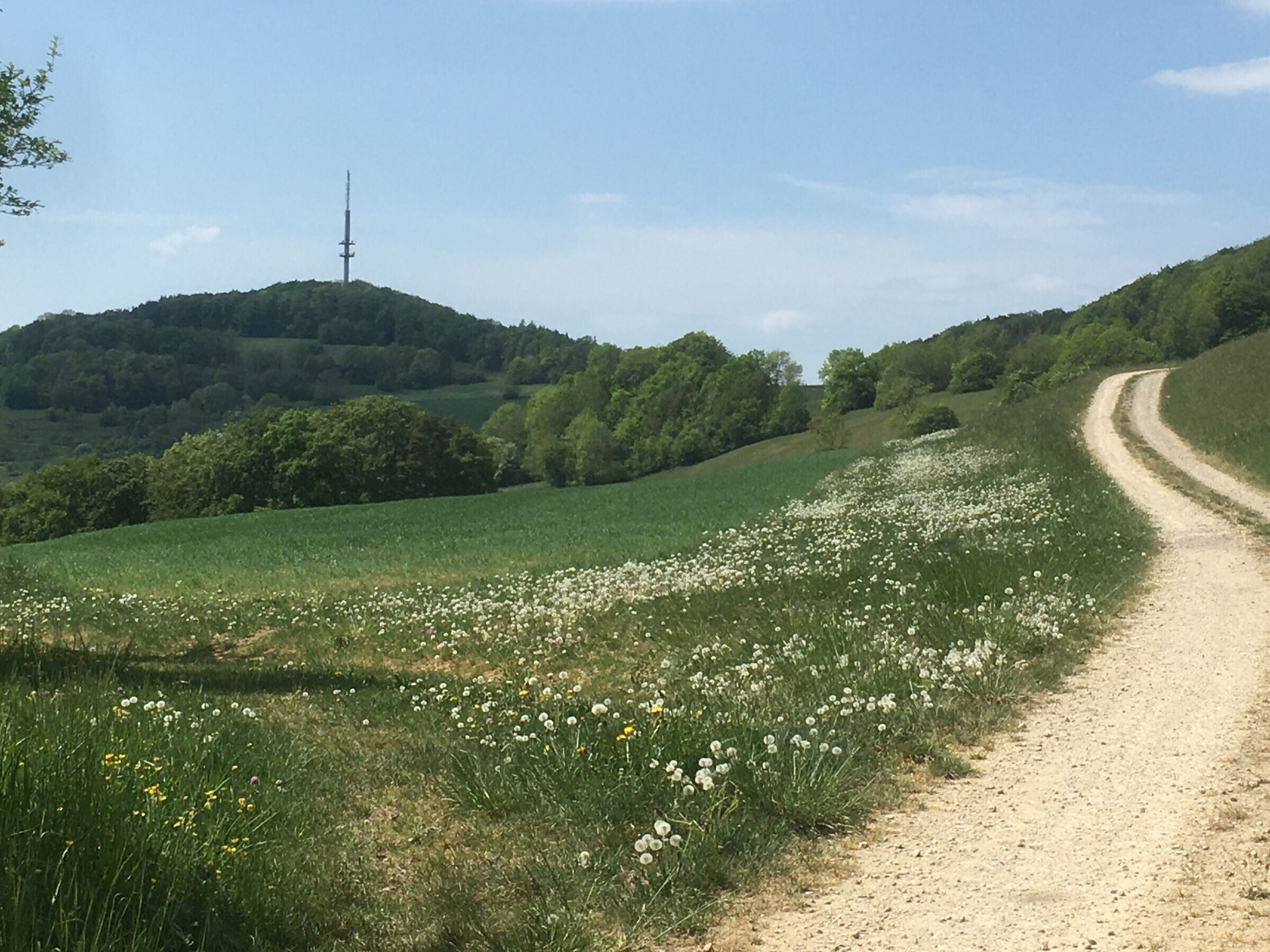 A dirt road winding through a green field with a hill in the background.