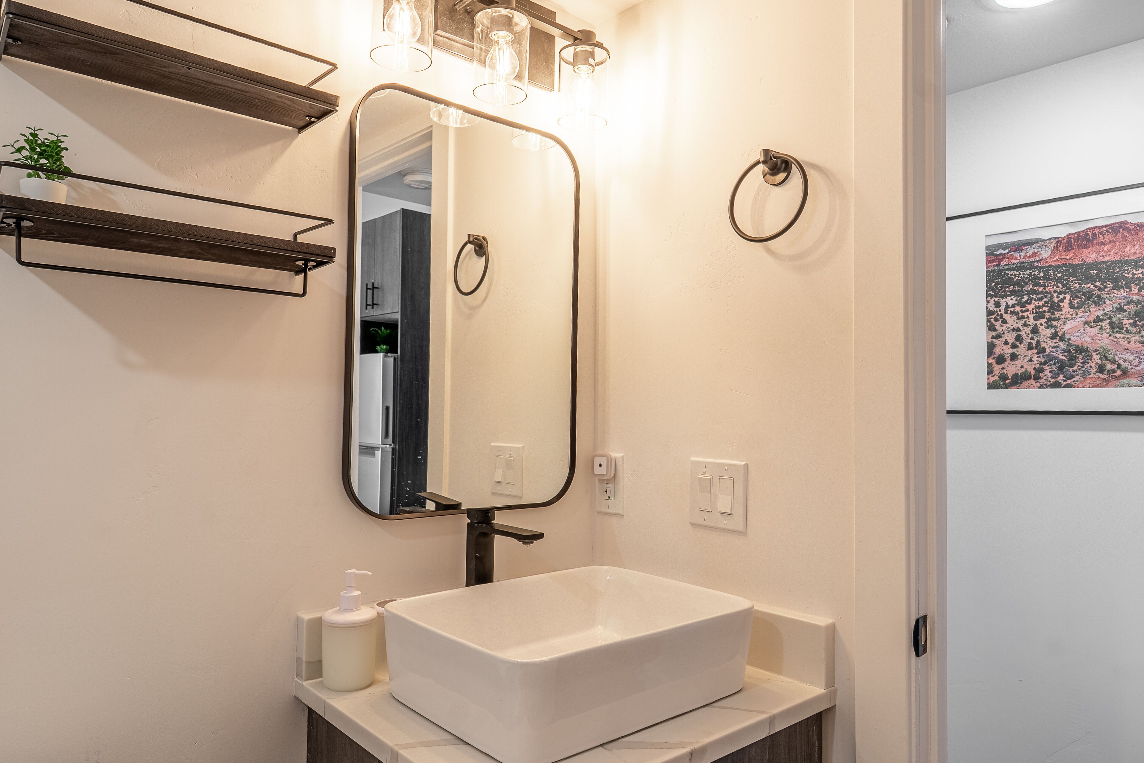 Une salle de bain avec un lavabo blanc, un miroir et une étagère sur laquelle est posée une plante.