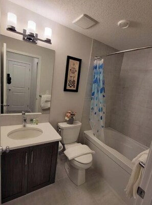 Séchoir à cheveux, bidet, serviettes fournies, savon
