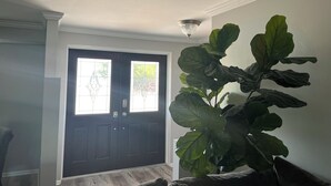 A room with a dark wooden door, a large green plant, and a ceiling light fixture.
