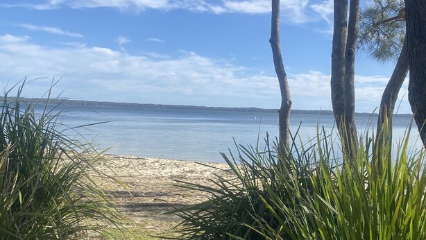 A beach with sand, water, and tall trees. - A Little Southern Comfort - granny flat in Sanctuary Point  (Sanctuary Point)