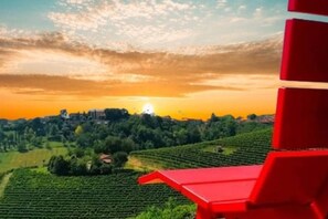 Weinlandschaft mit Reihen von Weinreben und einer entfernten Skyline.