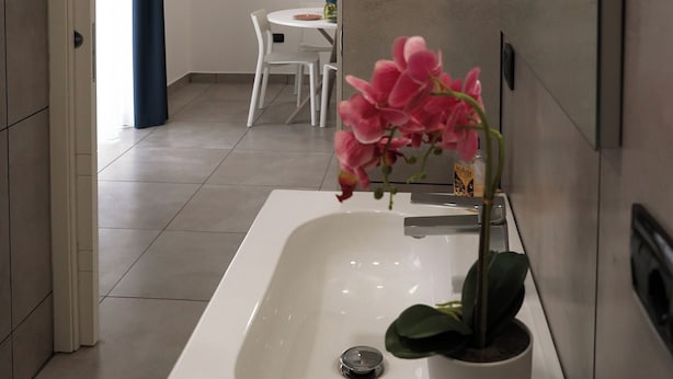 Un baño moderno con un lavamanos blanco, una orquídea en maceta y un espejo.
