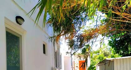 YourHome2
4-7 min Walking distance to the market, restaurants, bars and beach!