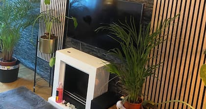 Old one and half rooms apartment 44square meter, in the central city of Malmö,