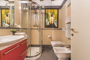 Shower, hair dryer, bidet, towels