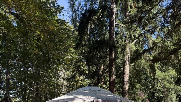 Una cabaña pequeña de un piso con un porche cubierto, rodeada de un bosque denso.