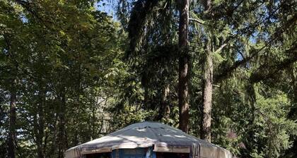 Soul Yurt-Glamping | Cedar Hot Tub | 1 hr to Mt Rainier