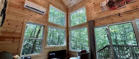 TV, fireplace, DVD player