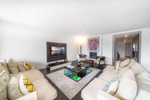TV, fireplace, video games, DVD player
