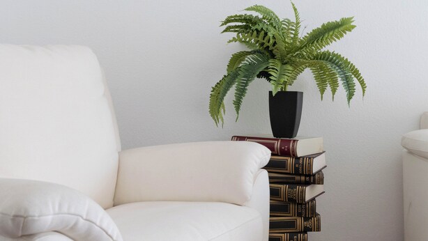 Ein weißer Sessel, eine schwarze Vase mit einer grünen Pflanze und ein Bücherstapel an einer weißen Wand.