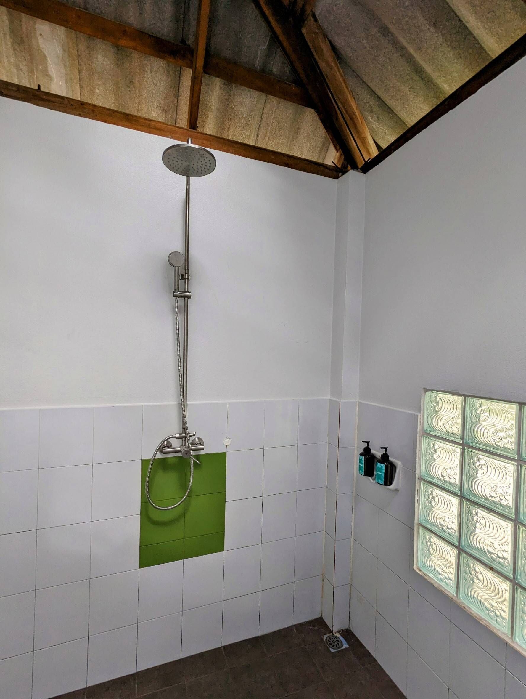 Una ducha con cabezal de ducha tipo lluvia y otro cabezal de ducha manual, paredes de azulejos blancos, una pared de acento verde y un ventanal con paneles de vidrio decorativos.