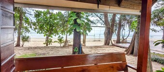 ซิกกี้สตาร์ดัช